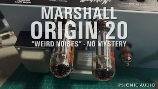 Marshall Origin 20 | "Weird Noises" - No Mystery