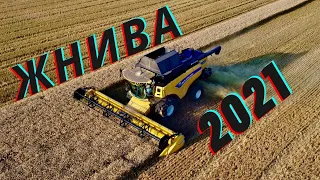 ЖНИВА 2021. Посів ріпаку за технологією Strip-Till. Зрошення. HORSH Focus. FENDT. John Greaves.