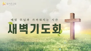 사람의 지혜보다 기도의 능력을 의지하라 (왕상12:1-12) / 최대현 목사 / 수요새벽 / 24.05.01