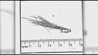 FBI Tested Alleged BIgfoot Fur in 1970s