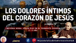 🟣🗣️16. PLÁTICA: LOS DOLORES ÍNTIMOS DEL CORAZÓN DE JESÚS/9 HORA:  JESÚS CAE EN EL TORRENTE(1- 2 AM)