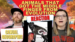 HatGuy & Nikki react to @mndiaye_97 "Animals that Got the Middle Finger from Evolution"