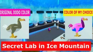 *Secret Lab in Ice Mountain* DODO Feather Family ROBLOX | NEW MODEL DODO