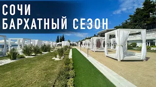 Сочи Сентябрь КАКОЕ МОРЕ😱!!! ЦЕНЫ на жилье в ЦЕНТРЕ. #сочи