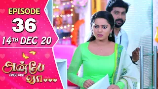 Anbe Vaa Serial | Episode 36 | 14th Dec 2020 | Virat | Delna Davis | SunTV Serial |Saregama TVShows