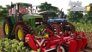 INICIANDO A PRIMEIRA COLHEITA DE BETERRABA || FAZ.PONTE FUNDA || FARMING SIMULATOR 19 || #19 G29