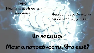 11я лекция Мозг и потребности  Что ещё  Вячеслав Дубынин