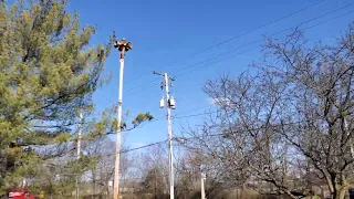 Federal Signal STL-10 Tornado Drill Activation Full Uncut Clip @CentralOHSirens