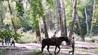 Веста  Куда ты скачешь, мальчик