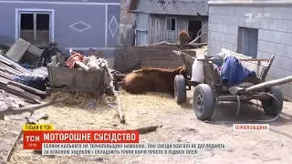 Сім'я на Тернопільщині складає трупи власних корів у підвалі оселі