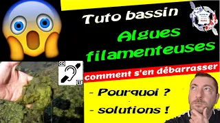 Bassin algues filamenteuses (tuto bassin) pourquoi ?  les solutions