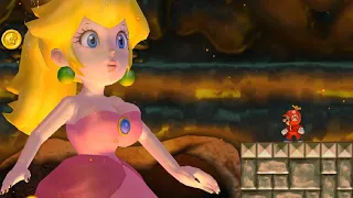 New Super Mario Bros Wii - Saving Peach from Evil Peach