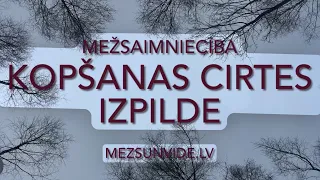 Kopšanas cirtes plānošana un izpilde