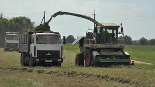 В хозяйствах Лидского района в разгаре заготовка травяных кормов