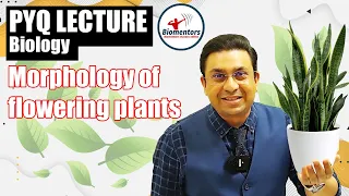 Morphology Of Flowering Plants | Revision Through PYQ Series L-5 | NEET Endgame 2021 | Geetendra Sir