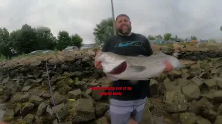 Unforgettable morning at the Cape Cod canal Part #5