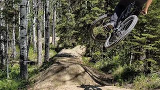 Whitecourt Bike Park Downhill