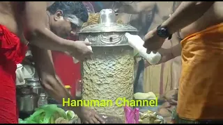 Shiva Abhishekam | Mahashivratri Special 🌺 Hanuman Channel