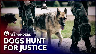 K9 Units Sniff Out The Truth | The New Detectives | Real Responders