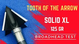 TOOTH of the ARROW XL SOLID 125 gr Broadhead Test--One of the Best in 2022