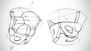 How to Draw the Pelvis from Any Angle - Human Anatomy for Artists