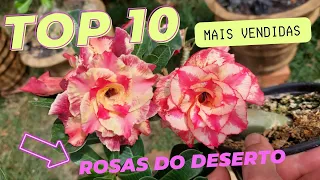 Top 10 Rosas do Deserto mais vendidas! #adenium