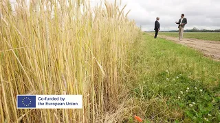 Europe's trade deals: Are European farmers being short-changed? (part 2) • FRANCE 24 English