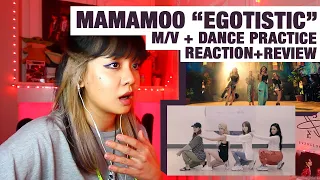 OG KPOP STAN/RETIRED DANCER reacts+review MAMAMOO "Egotistic" M/V + Dance Practice!