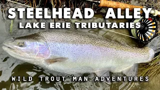 STEELHEAD ALLEY - Fly Fishing Lake Erie Tributaries