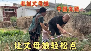 The Chinese son-in-law cut a 25-meter-long tube to solve the watering problem in order to ease the