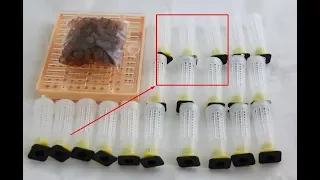 Система для вывода пчелиных маток "Никот" Nicot Инструкция