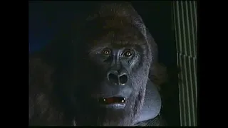 Mighty Joe Young TV Spot [December 1998]