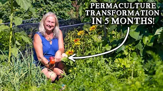 From Lawn to No Dig Abundance in 5 MONTHS | NEW Productive Kitchen Garden for Minimal Effort