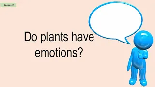 Do Plants Have Emotions?