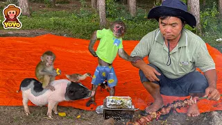 Camping journey of monkey YoYo Jr and monkey baby YiYi with grandpa