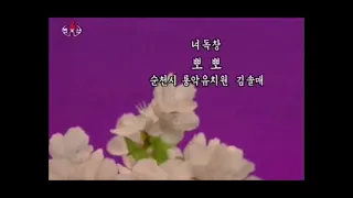 北朝鮮　ウリアパポッポ