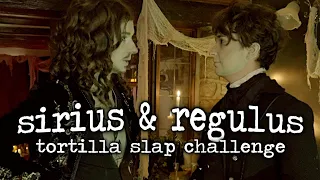 {regulus & sirius: tortilla slap challenge}