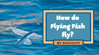 how do flying fish fly? watch this video to find out!