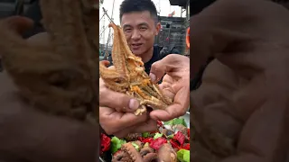 Amazing Eat Seafood Lobster, Crab, Octopus, Giant Snail, Precious Seafood🦐🦀🦑Funny Moments 324