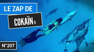 Le Zap de Cokaïn.fr n°207