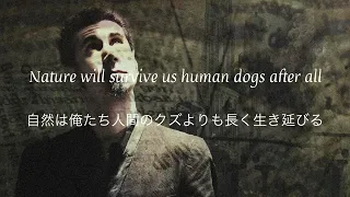 Serj Tankian - Honking Antelope  和訳　Lyrics