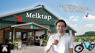 Voor het eerst een Melktap proberen - Himiway zebra