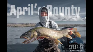 Jigging for Springtime Lake Trout - Lake Superior edition