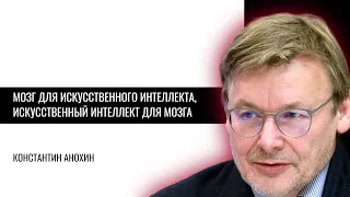 Мозг для искусственного интеллекта, искусственный интеллект для мозга. Константин Анохин