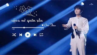 [Vietsub+Pinyin] Hoa nở quên sầu - Châu Thâm | 花开忘忧 - 周深 (Live Đêm hội Trung Thu 2022 đài Hồ Nam )