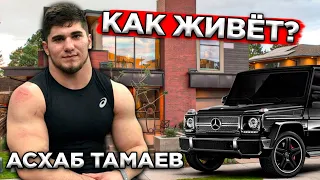 Асхаб Тамаев - Как Живет Чеченский Халк, Кто Такой, Как Набрал Массу?