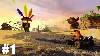Crash Team Racing Nitro Fueled | Part 1 | Ripper Roo (No Commentary)