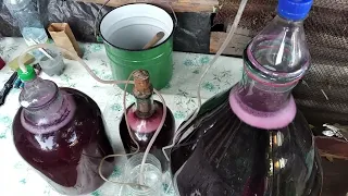 Виноградне Вино своїми руками.