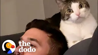 Woman Becomes Third Wheel In Her Cat And Husband's Relationship | The Dodo Cat Crazy