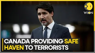 India-Canada Row: 'Canada is becoming safe haven for extremists and terrorists': MEA